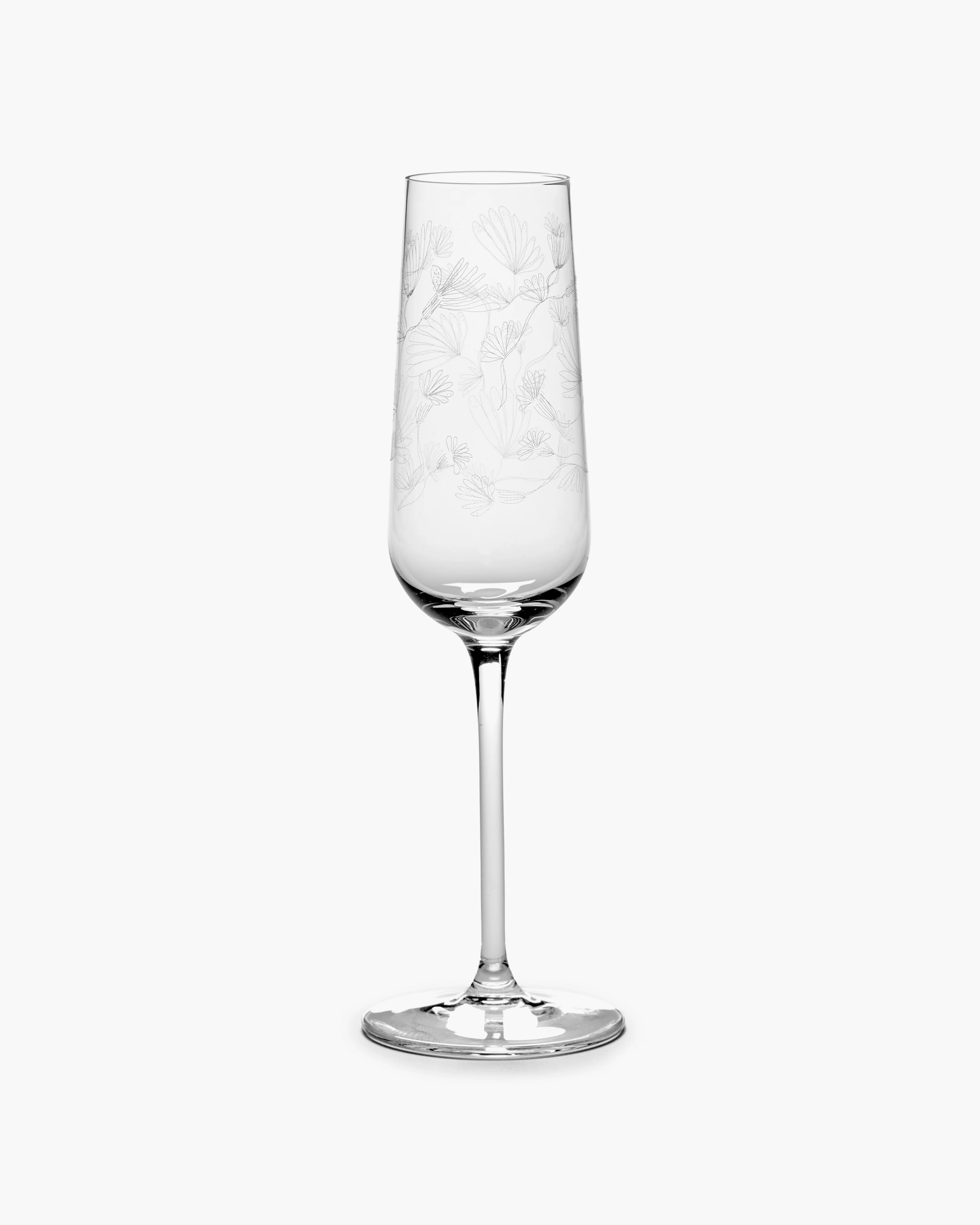 Champagne flute camelia aubergine Midnight Flowers