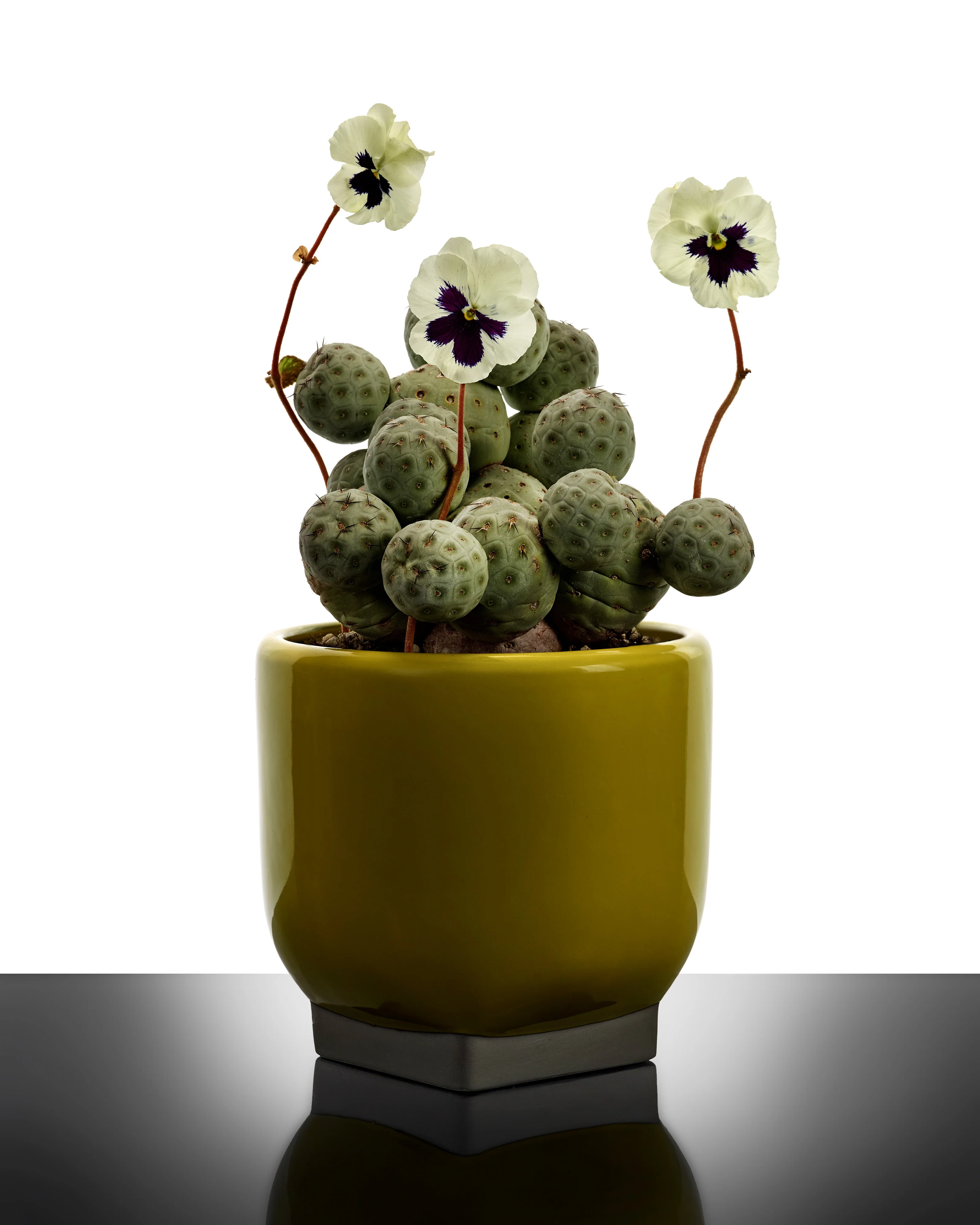 Flower pot 02 yellow - grey Rosamar - Image 2