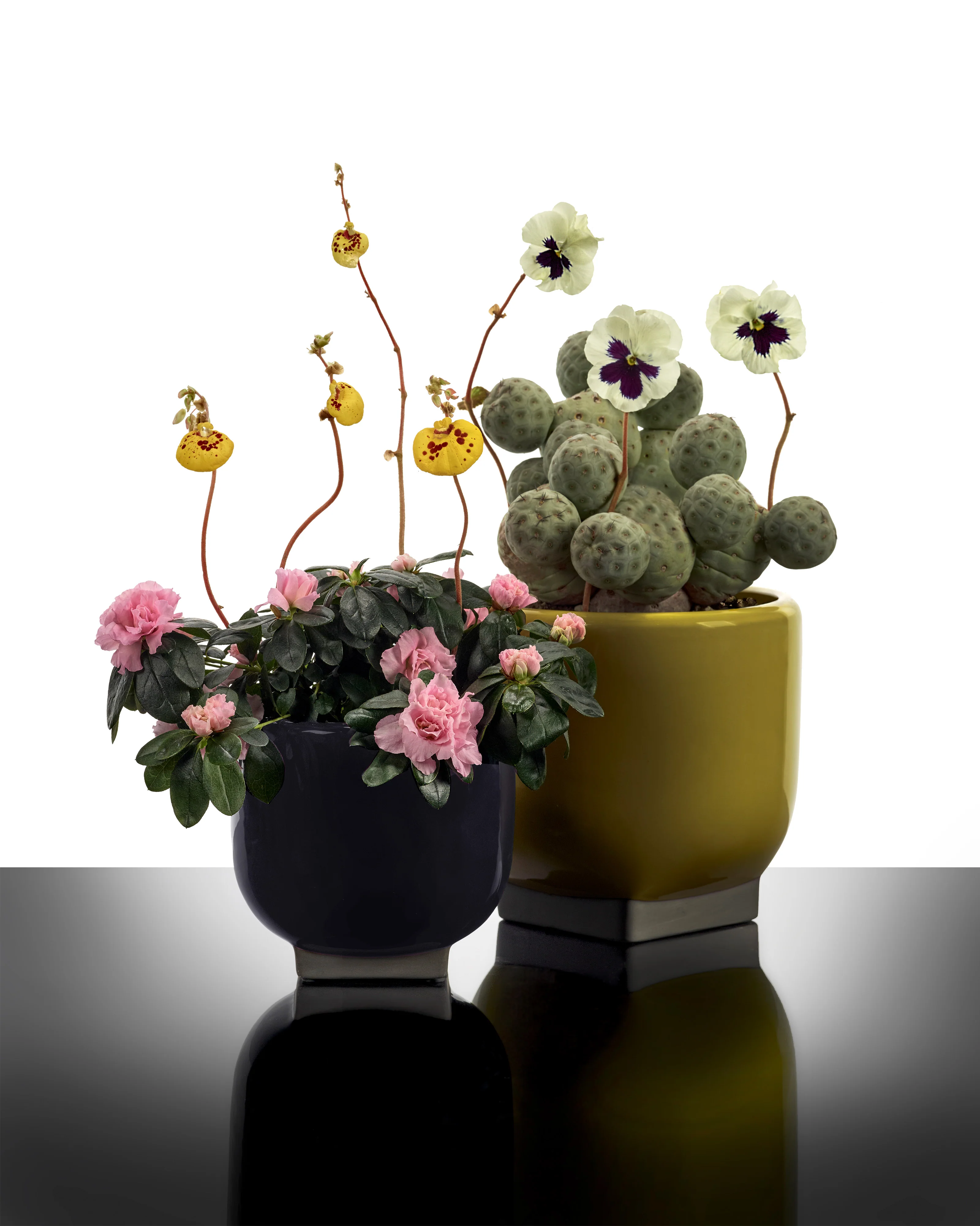 Flower pot 03 purple - grey Rosamar - Image 2