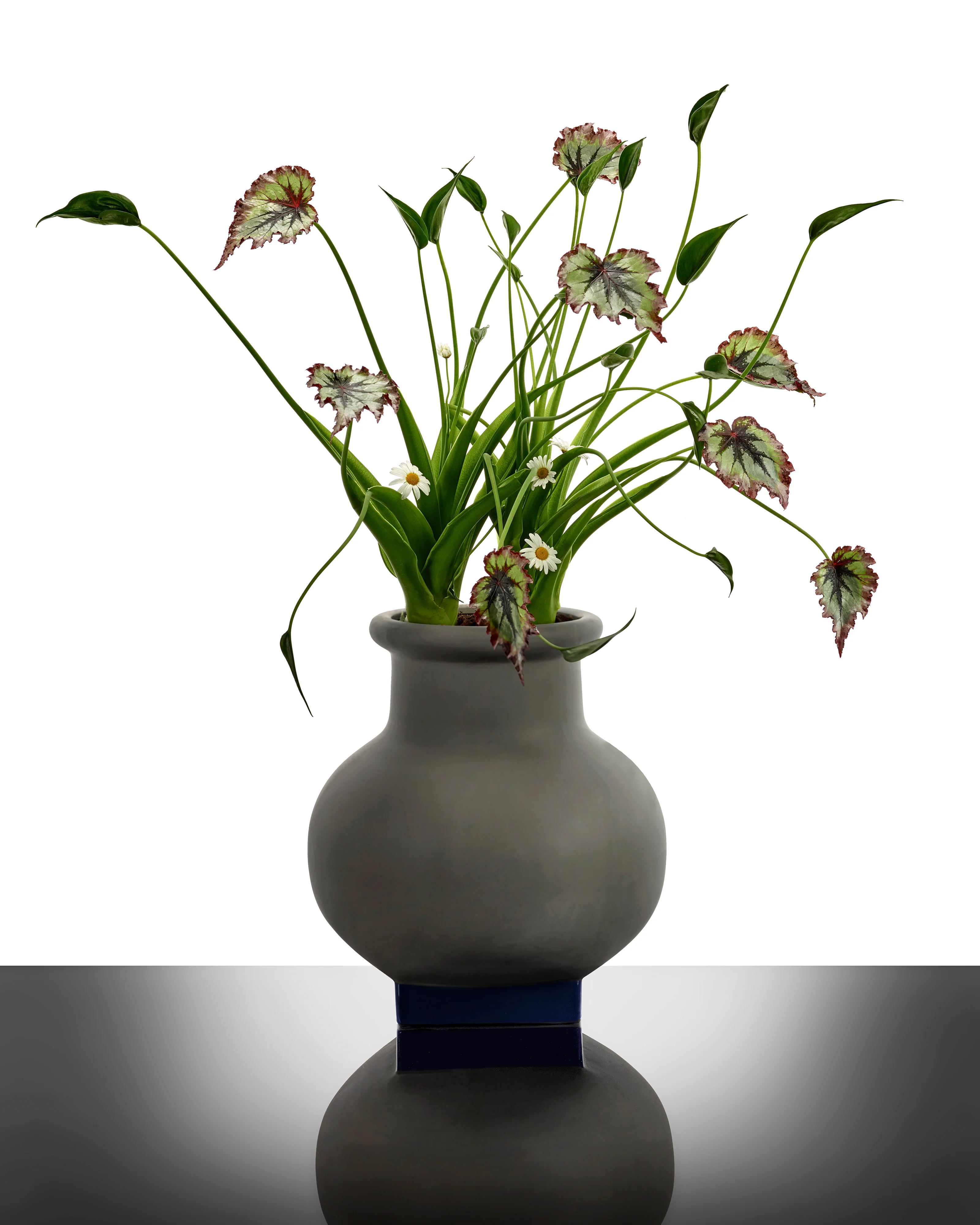 Flower pot 07 grey - dark blue Rosamar - Image 2