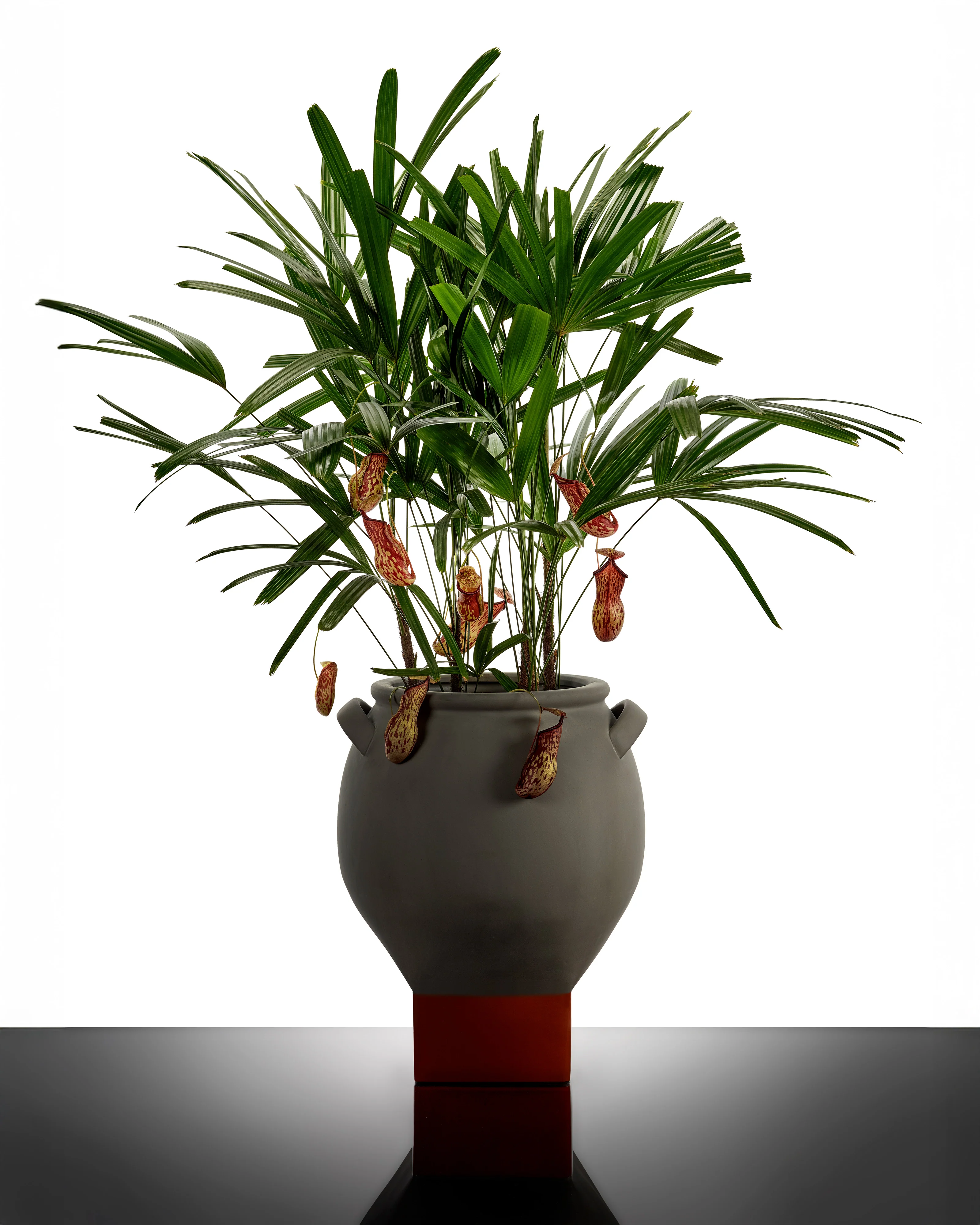 Flower pot 08 grey - orange Rosamar - Image 2