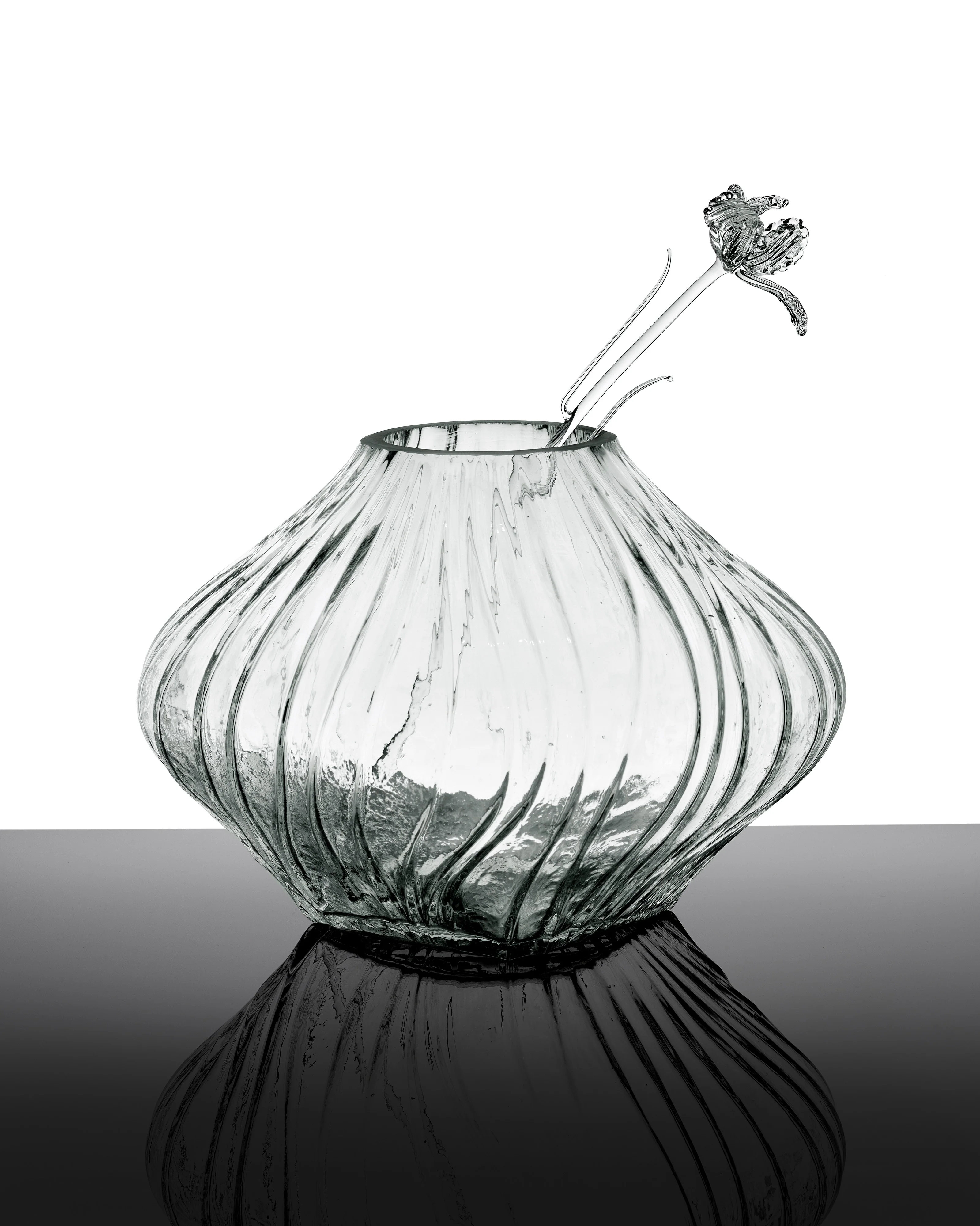 Flower Tulip transparent Josephine - Image 2