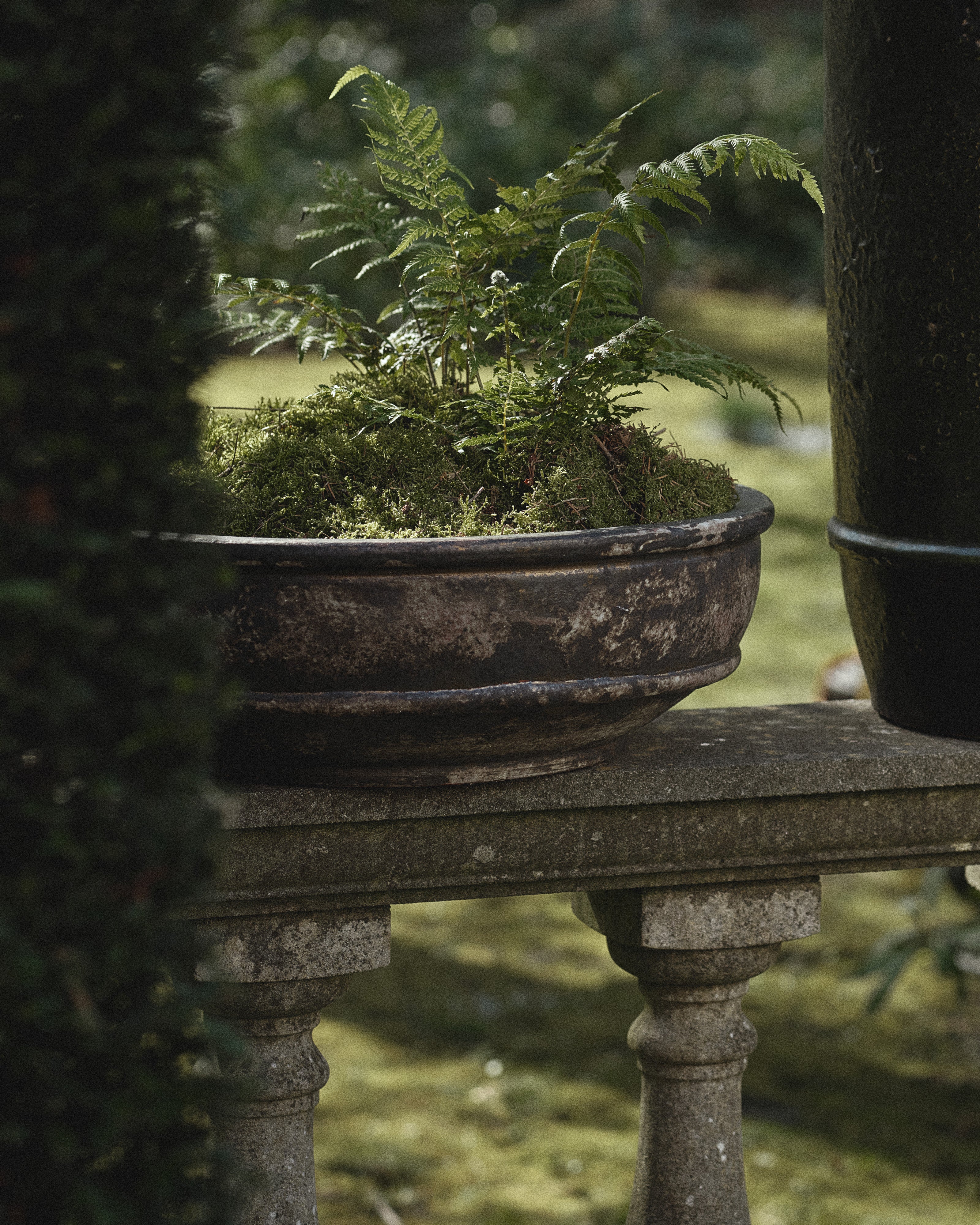 Planter bowl 02 L dark brown Dune - Image 3